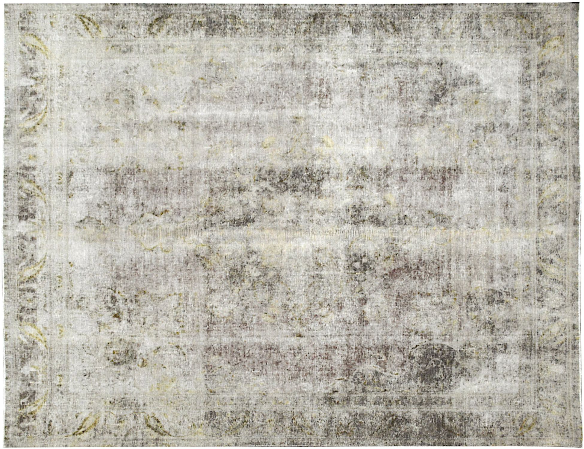 Vintage Χαλί  Γκρι <br/>367 x 294 cm