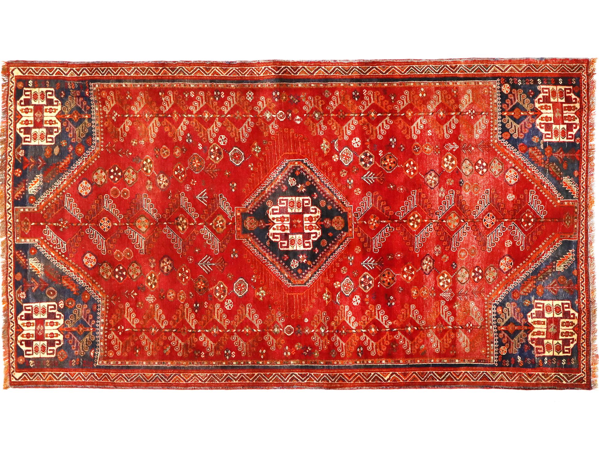 Shiraz  Κόκκινο <br/>258 x 150 cm