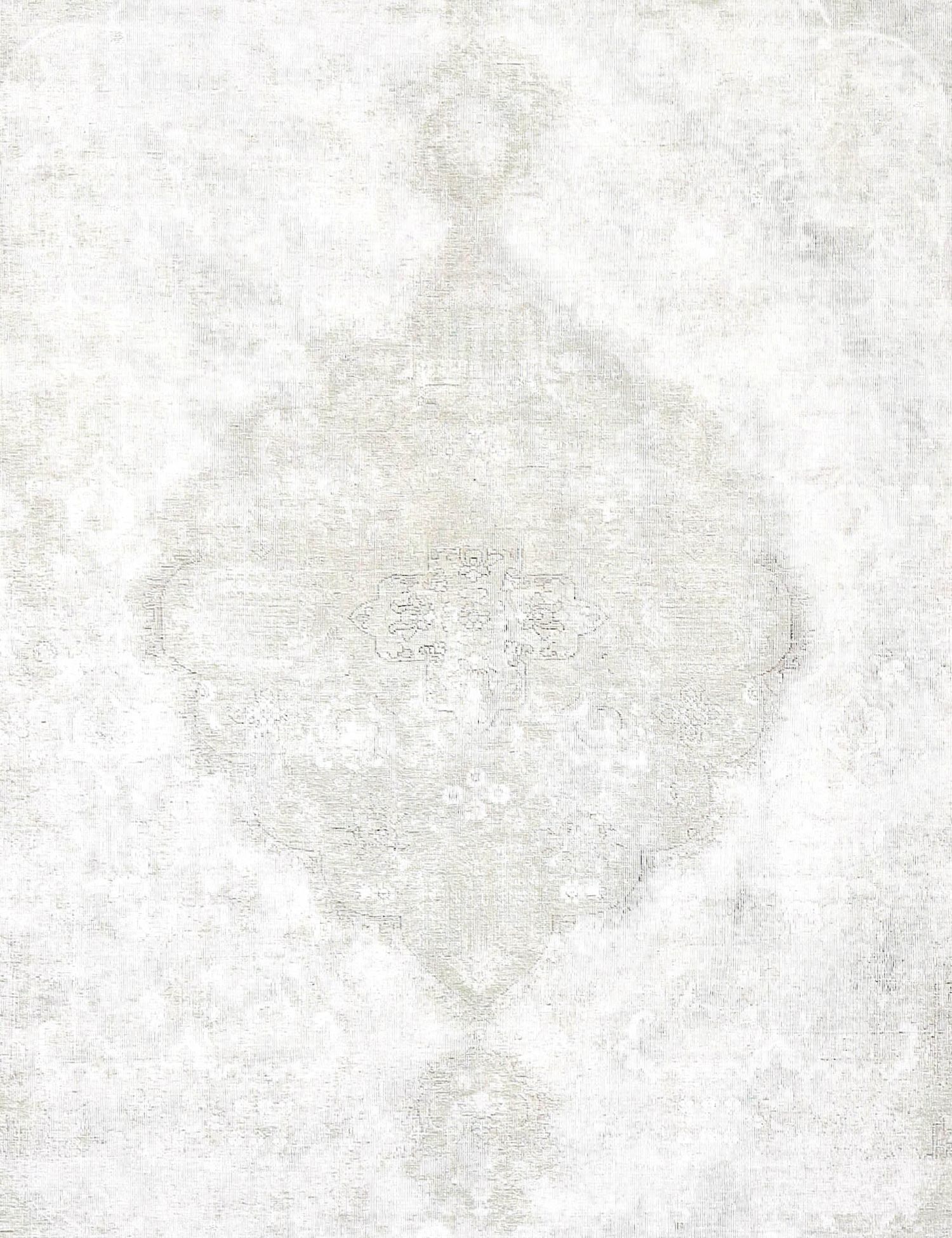 Persian Vintage    Πράσινο <br/>325 x 217 cm